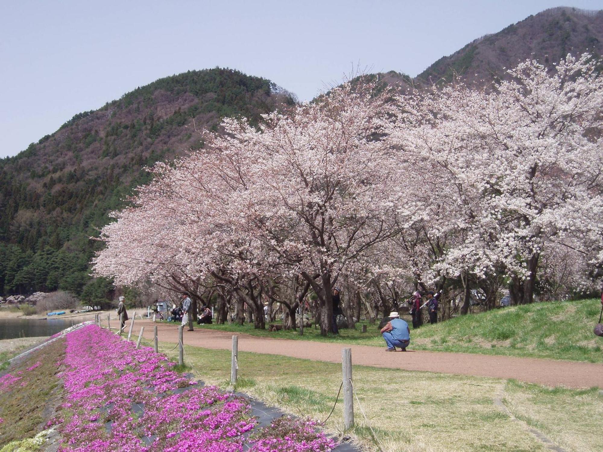 克玛雅旅馆 传统日式旅馆